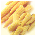 sweetcorn manufacturer in Pune