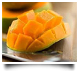 sweetcorn manufacturer in Pune